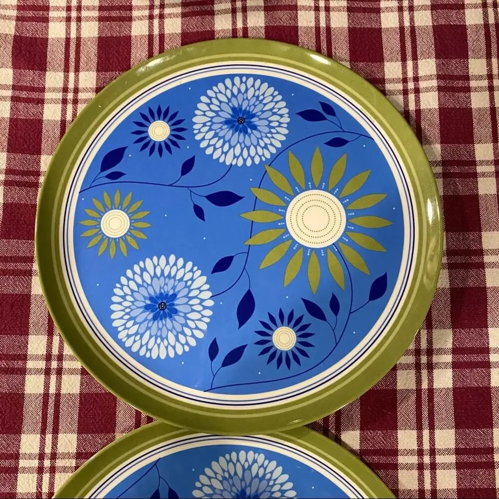 ZAK‎ Designs Pair of Blue Floral Green Border 10” Plastic Plates